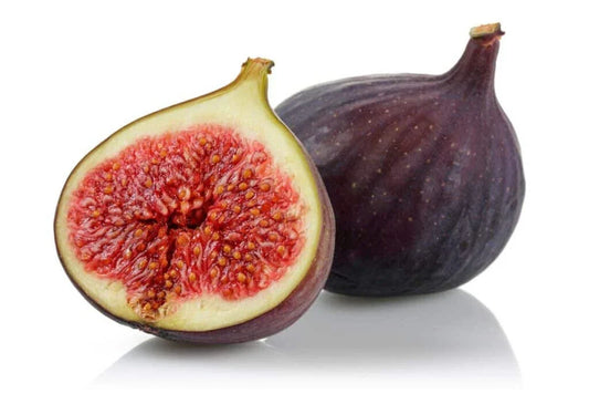 Osborne Prolific Fig Seeds - 100+ Count - Ideal for Garden Planting - Ficus carica