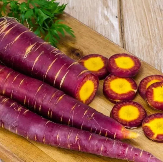 Cosmic Purple Carrot Seeds - 200+ Heirloom Organic NON-GMO - Rare Vegetable Seeds for Home Gardening