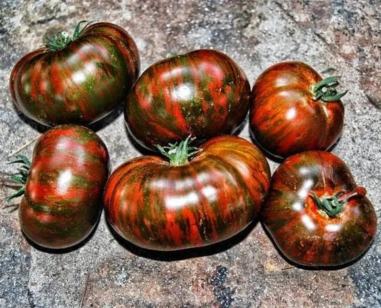 Chocolate Stripe Tomato Seeds - Heirloom, Non-GMO, Rare Variety - 10+ Seeds - Lycopersicon esculentum