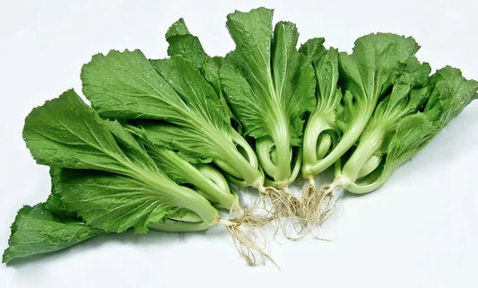 Chinese Mustard Seeds - 200+ Shuidong Gai Choi Shealihong - Asian Vegetable - Brassica juncea - USA