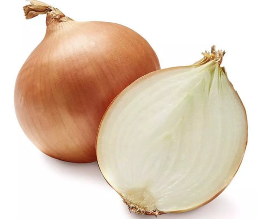 Walla Walla Onion Seeds - 100+ Heirloom Seeds for Tasting Garden - Allium cepa - Fresh USA Grown