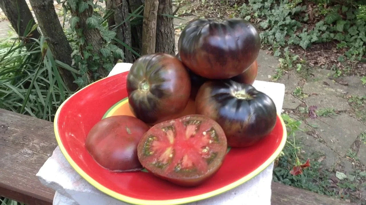 Black Beauty Tomato Seeds - Organic Heirloom - 30+ Seeds - Solanum lycopersicum - Rare Variety