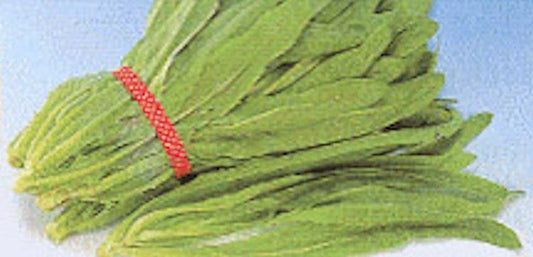 Sword Leaf Lettuce Seeds - 2000 Non-GMO Pointed Leaf "A Choy" - Premium Vegetable Seeds for Home Gardening