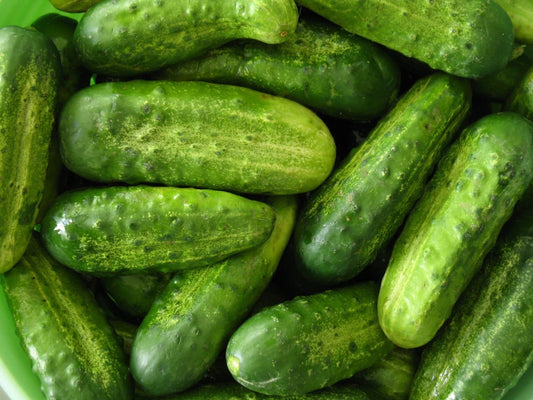 Homemade Pickles Cucumber Seeds, NON-GMO Heirloom, Multiple Sizes, Cucumis sativus, Free Shipping