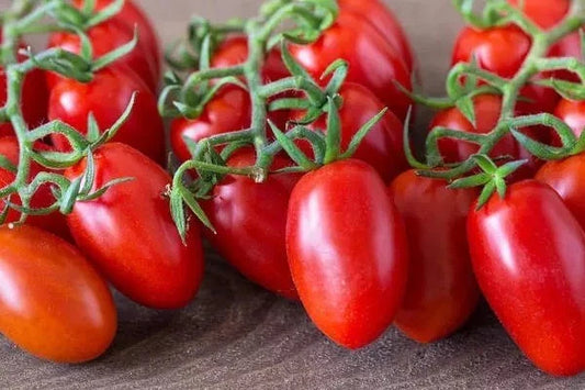 30+ Organic Roma Tomato Seeds - Heirloom, Non-GMO, Fresh - Solanum lycopersicum