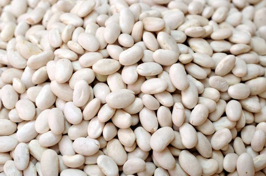 Navy Bean Seeds for Planting 50 Seeds - White Kidney Bean (Phaseolus vulgaris)