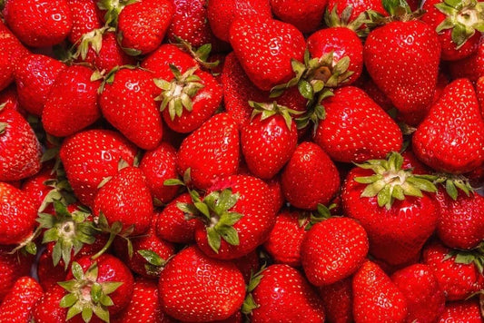 Jewel Strawberry Plants Bare Root - Fragaria x ananassa - Sweet & Juicy Varieties for Home Garden