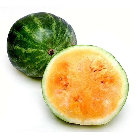 Tendersweet Orange Watermelon Seeds - 20+ Seeds - Citrullus lanatus - Average Fruit Weight 25-40 lbs - USA