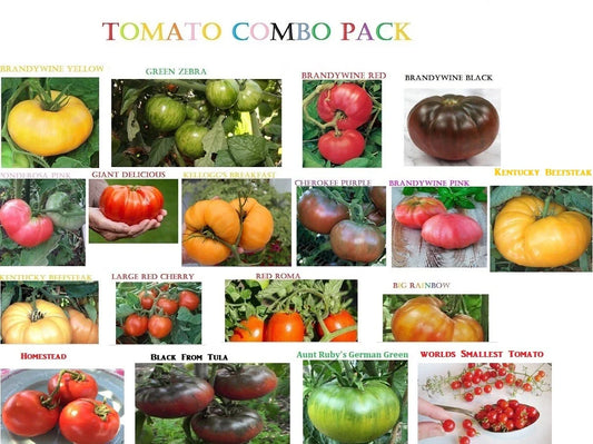 Tomato Seeds Collection - Rare Big Beefsteak, Yellow, Pink, White, Brandywine, Cherry - Heirloom Varieties