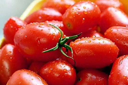 Crovarese Italian Grape Tomato Seeds 50 Ct Heirloom Vegetable Seeds, Solanum lycopersicum, USA, Free Shipping