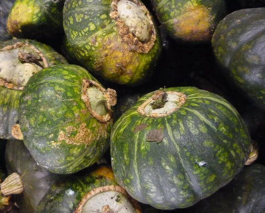 Buttercup Squash Seeds 15+ Winter Squash Vegetable Garden Cucurbita maxima