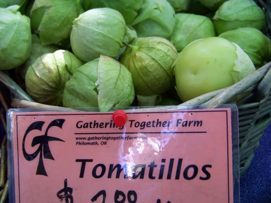 Tomatillo Seeds - 100 Seeds - Toma Verde for Salsa - Physalis ixocarpa - GroCo USA - Buy 15 Ships Free