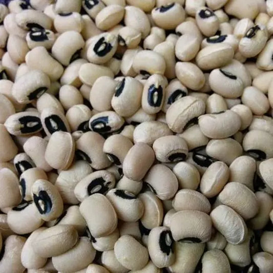 California Blackeye Cowpea Seeds 50 Ct - Heirloom Legume for Vegetable Garden - Vigna unguiculata