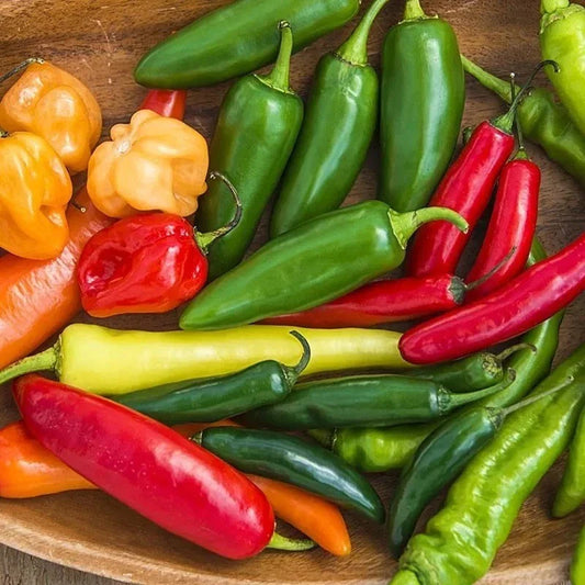 Hot and Happy Pepper Mix Seeds - Heirloom Assortment - Varied Colors and Flavors - Capsicum Annuum