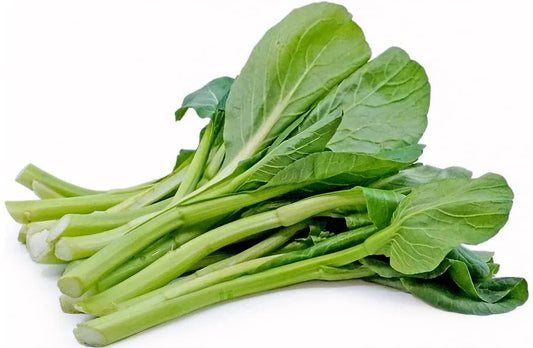 Yu Choy Sum Seeds - 100+ Count - Jung Green - Vegetable Seeds for Outdoor Planting - Brassica rapa var. parachinensis
