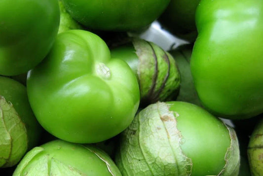Tomatillo Seeds - 50+ Green Tomatillo Seeds - Physalis philadelphica