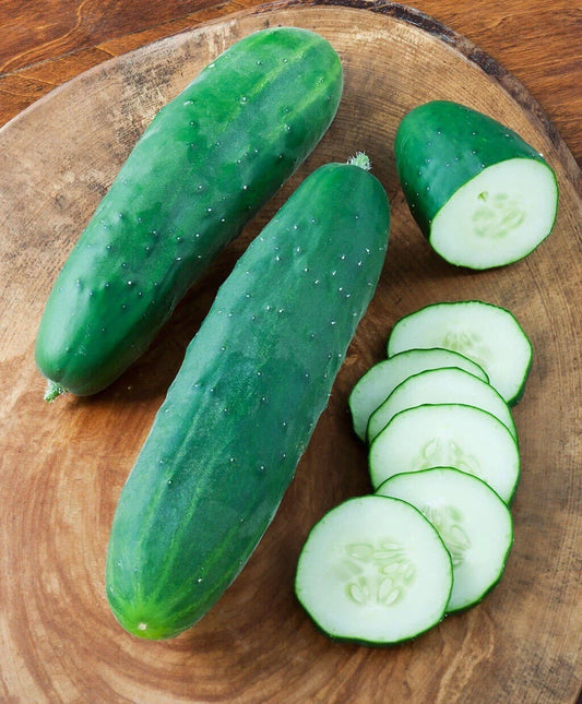 Straight Eight Cucumber Seeds - 50+ Non-GMO Vegetable Garden Seeds - Cucumis sativus - USA Grown, Free Shipping