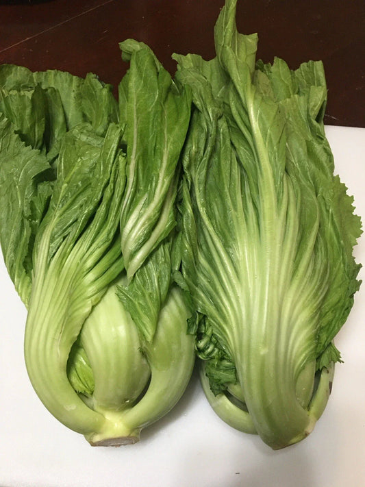 Chinese Mustard Seeds 200+ I Shuidong Gai Choi I Shealihong Variety I Non-GMO Gardening