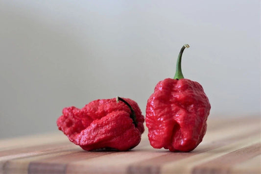 Super-Hot 7 Pot Red Brain Strain Pepper Seeds - 15 Premium Seeds - Capsicum chinense