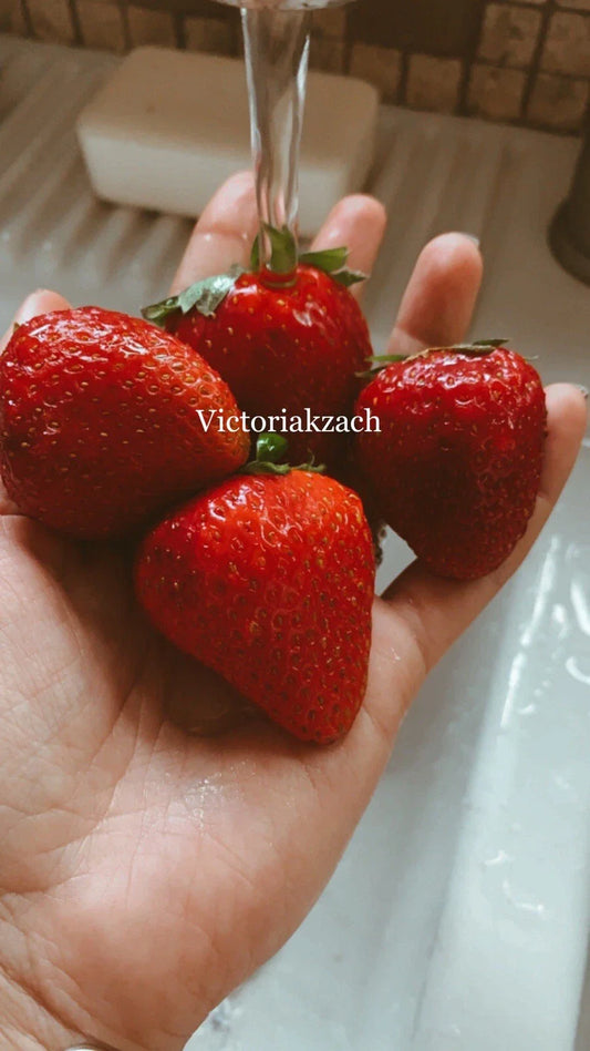 200 Organic Strawberry Seeds - Non-GMO Sweet Berries for Homegrown Edible Garden - Fragaria x ananassa