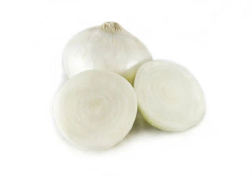 Sweet Spanish White Onion Seeds, Large Size, Up to 1 lb Each, 100 Seeds - Allium cepa by GroCo