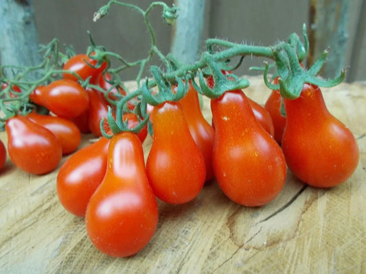 Red Pear Tomato Seeds - Heirloom NON-GMO - 10+ Fresh Seeds - Solanum lycopersicum