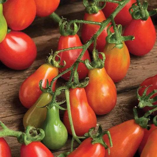 Red Pear Tomato Seeds 100 Ct - Heirloom, Non-GMO, Vegetable Garden - Lycopersicon esculentum