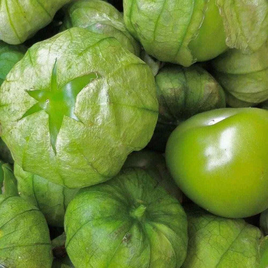 Tomatillo Seeds 50 Ct Heirloom Non-GMO Grande Rio Verde (Physalis ixocarpa) - Vegetable Seeds for Gardening