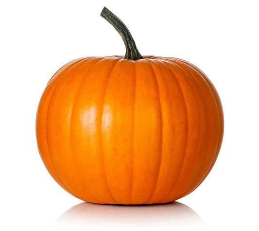 Hijinks Pumpkin Seeds - 25+ Seeds for Garden Planting - Cucurbita pepo - USA Grown, Non-GMO, Free Shipping