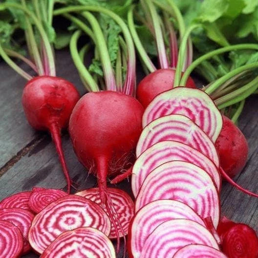 Chioggia Beet Seeds - Non-GMO Heirloom Garden Seeds - Perfect for Home Gardening - Beta vulgaris