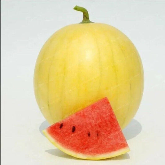 20PCS Gold Skin Watermelon Seeds - Yellow Royal Golden Variety - Citrullus lanatus