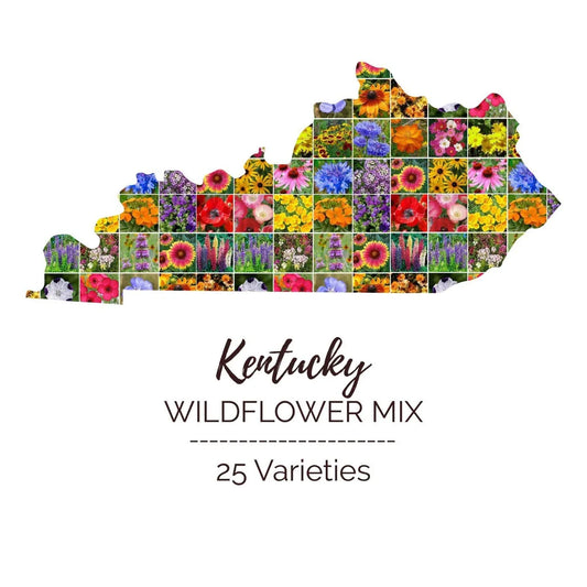 Wildflower Seed Mix - Kentucky State Blend - 25 Types - Perennial & Annual - Non-GMO - 1000 Seeds