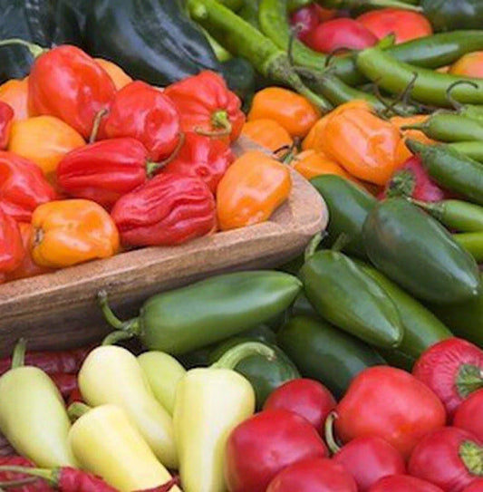 Mixed Pepper Seeds - 100+ Seeds - Ghost, Habanero, Jalapeño & More - Capsicum Annuum & Capsicum Chinense