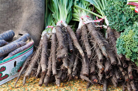Black Salsify Seeds, NON-GMO, Black Oyster Plant, Scorzonera hispanica, Goat's Beard, Heirloom, Free Shipping