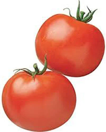 Rutger’s Heirloom Tomato Seeds - 100+ Fresh Garden Vegetable Seeds - Solanum lycopersicum - USA Grown