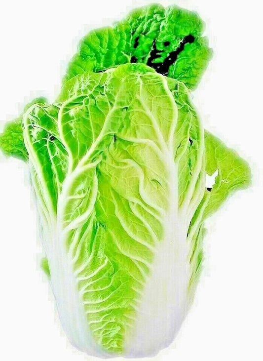 Chinese Cabbage Seeds 100+ Heirloom for Spring Microgreens Garden Vegetable Salads (Brassica rapa)