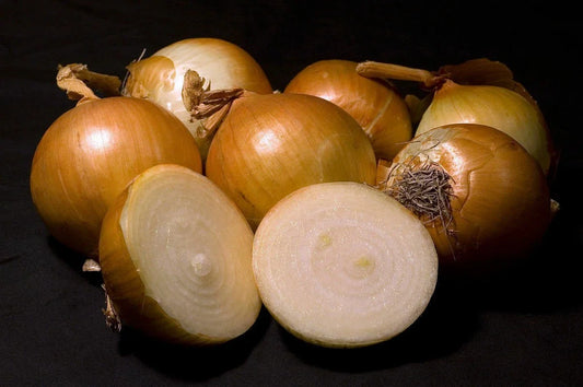 Walla Walla Sweet Onion Seeds - Heirloom Non-GMO - Perfect for Gardening - Allium cepa