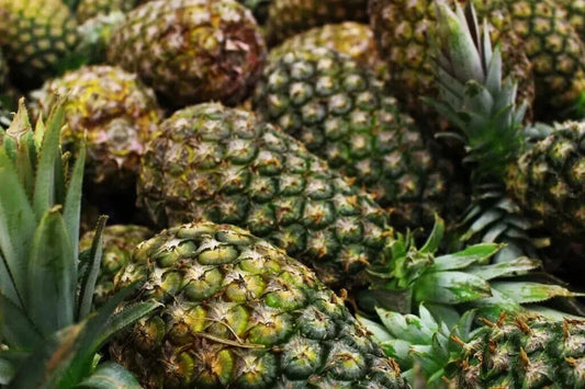 Montufar Pineapple 15 Seeds - Garden Planting - Ananas comosus - USA