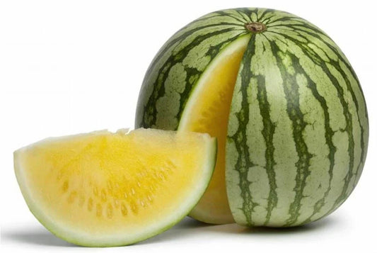 Yellow Doll Seedless Watermelon 50 Seeds - for Planting - Citrullus lanatus - USA Grown, Free Shipping