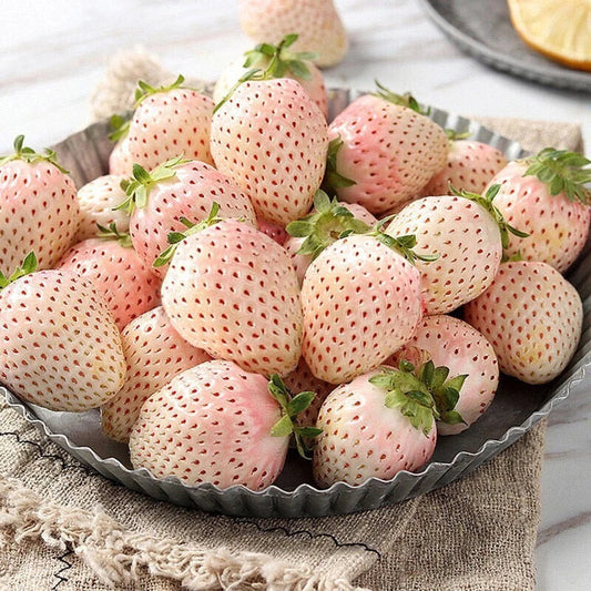 White Strawberry Seeds - 100+ Pineberry Hula Berry - Alpine Berry - Perfect for Container Garden - USA Grown
