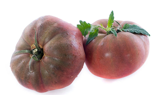 Organic Black Krim Tomato Seeds - 50+ Large Beefsteak Rare Russian Heirloom (Solanum lycopersicum)