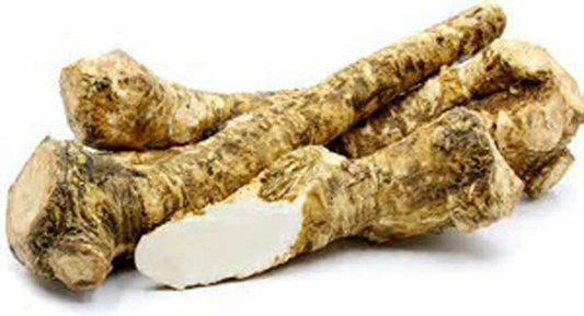 Horseradish Root Whole - Fresh Edible or Planting, Ready to Eat - Armoracia rusticana, Non-International Shipping