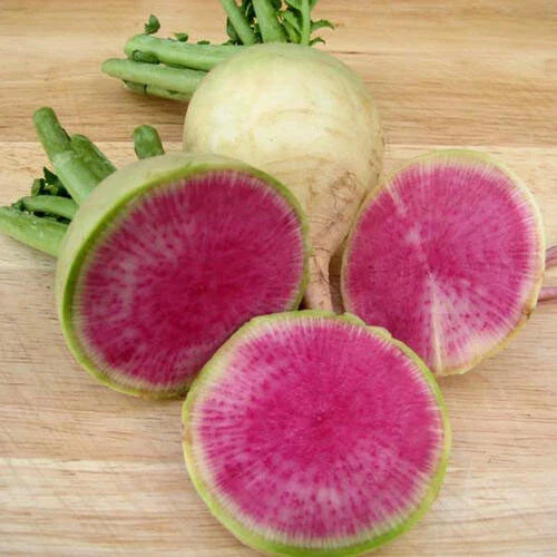 Watermelon Radish Seeds - 200+ Heirloom Chinese Red Heart Beauty Heart - Raphanus sativus