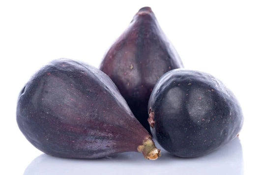 LSU Gold Fig Seeds - 100+ Count - Premium Garden Seeds - Ficus carica - USA