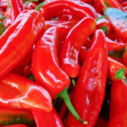 Red Marconi Sweet Pepper Seeds 50+ Non-GMO Vegetable Garden Seeds, Capsicum annuum, USA, Free Shipping