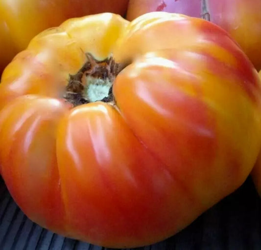 Rainbow Tomato Seeds 50+ Count, Indeterminate Garden Vegetables, Heirloom Variety, Solanum lycopersicum