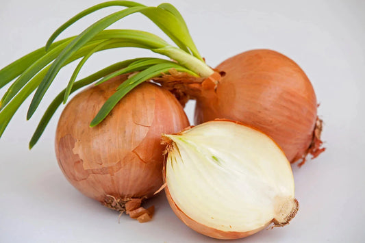 Yellow Sweet Spanish Onion Seeds - Non-GMO Heirloom Variety - Allium cepa - Tracking Included