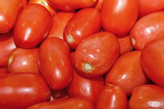 Roma Italian Tomato Seeds 100 Ct - Heirloom Variety for Tomato Paste & Sauce - Solanum lycopersicum - USA Shipping