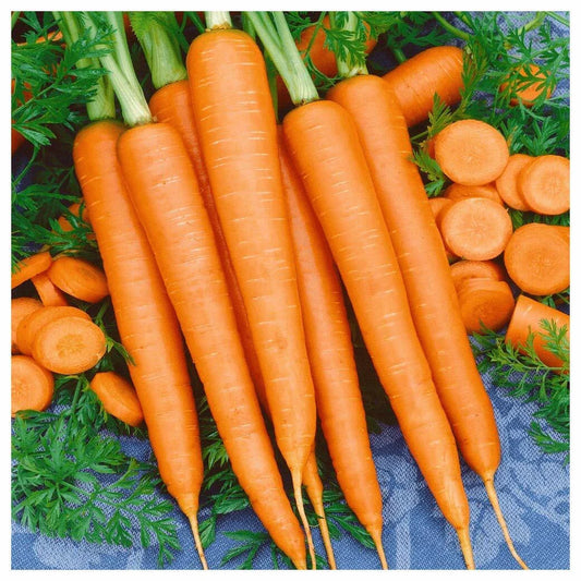 Tendersweet Carrot Seeds - Non-GMO, Beta Carotene, Vitamin A, Heirloom Variety, Garden Planting Seeds