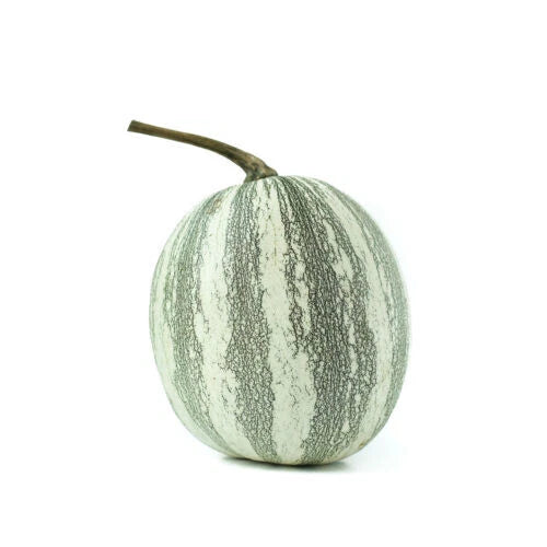Silver-Edged Pumpkin Seeds - 25+ Pack for Garden Planting - Cucurbita pepo - USA Grown - Non-GMO